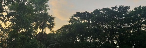 Ana19088 Profile Banner