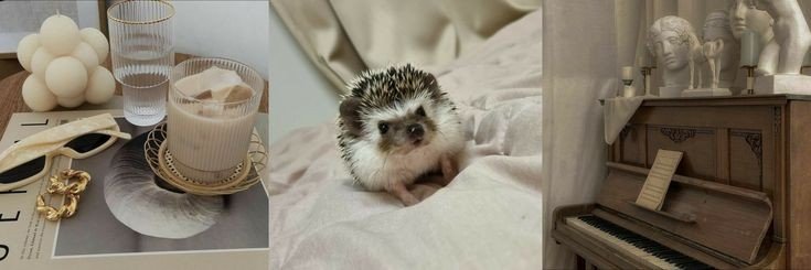 Odinetes Squad VAGAS📌 banner