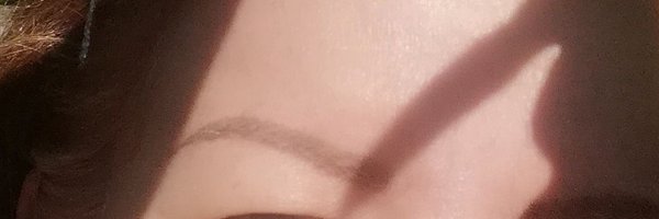 luzmarinalina13 Profile Banner