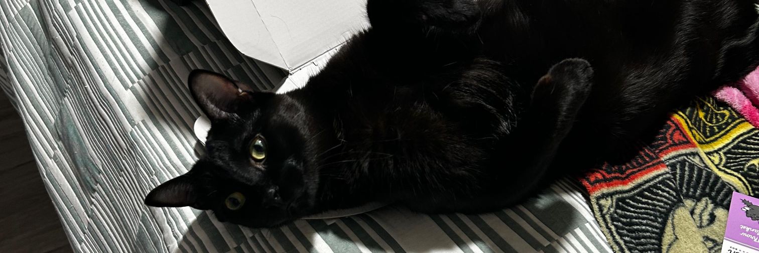 Manuel A. Maleras banner