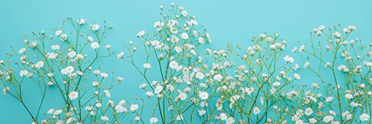 sr832527's profile banner image