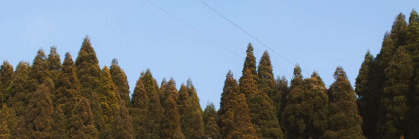 SamsArtwork's profile banner image