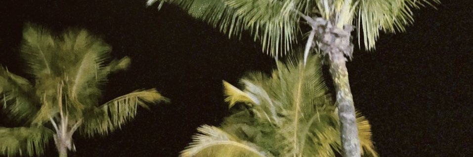 dumb brunette💋 banner