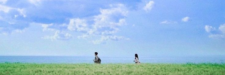 nixiebutterfly's profile banner image