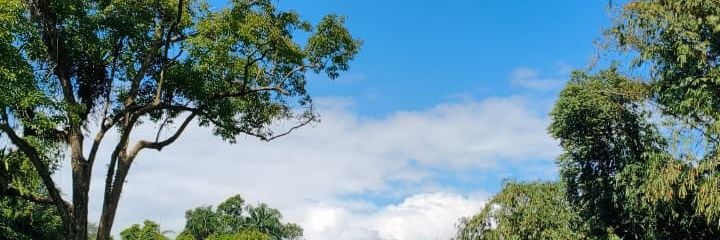 spiderinfit's profile banner image