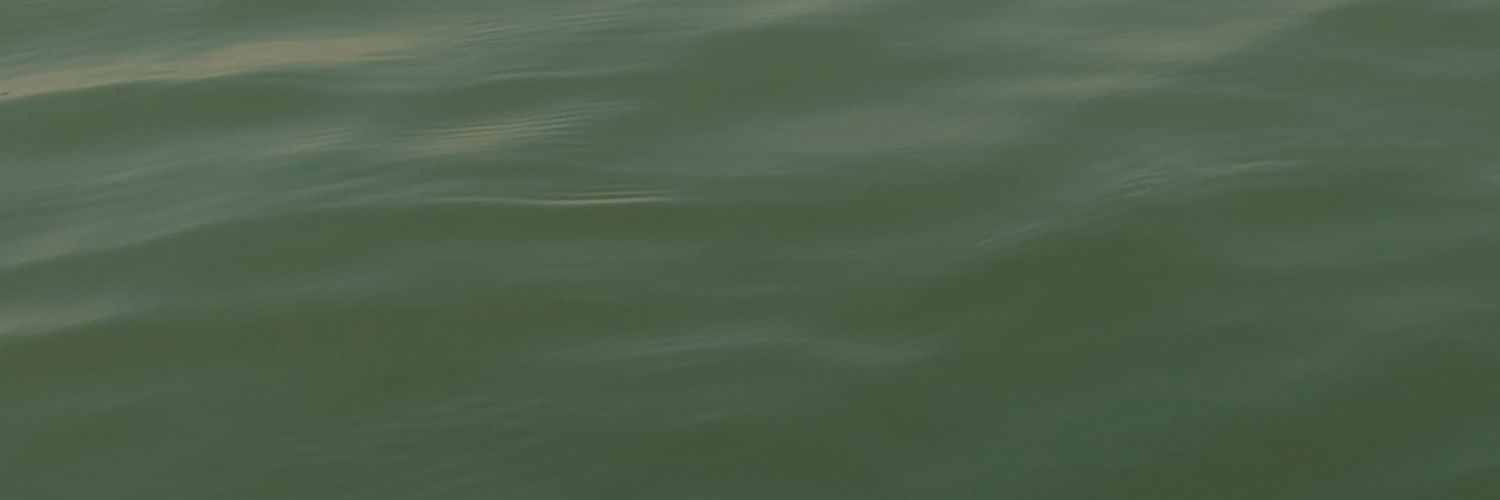 gnbet banner