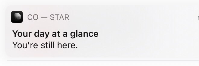 Immaterial Girl banner