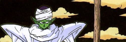 irlPiccolo's profile banner image