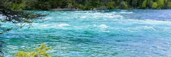 CalvinYe997 Profile Banner