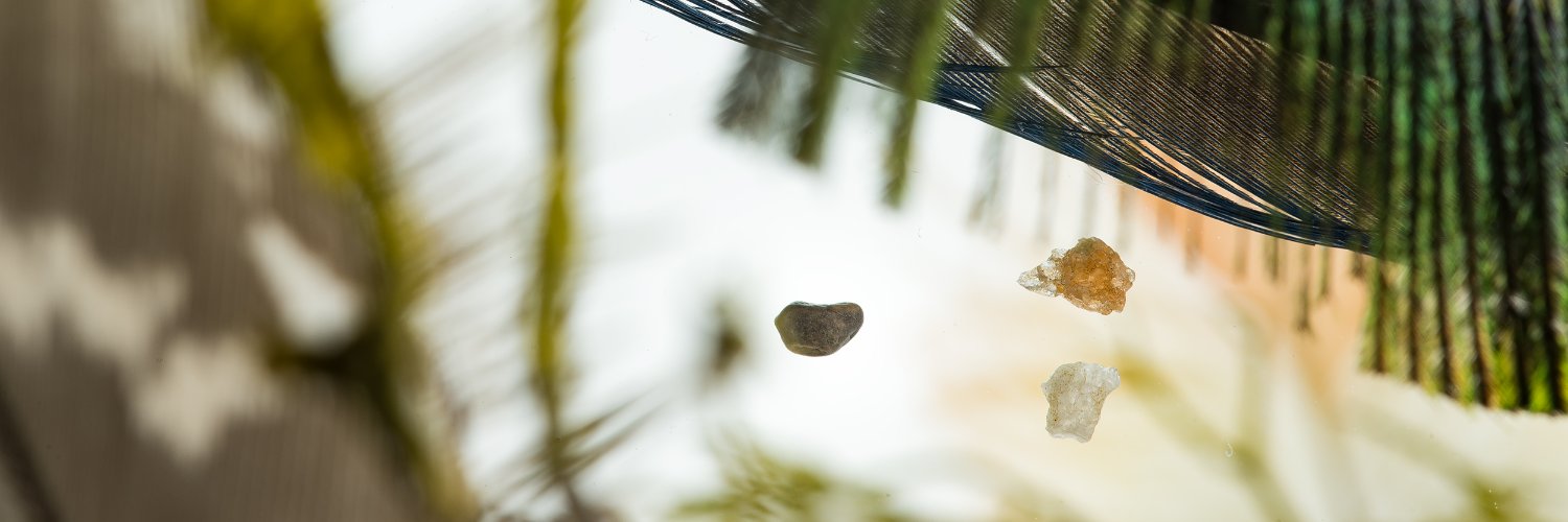 CorrieFrancis's profile banner image