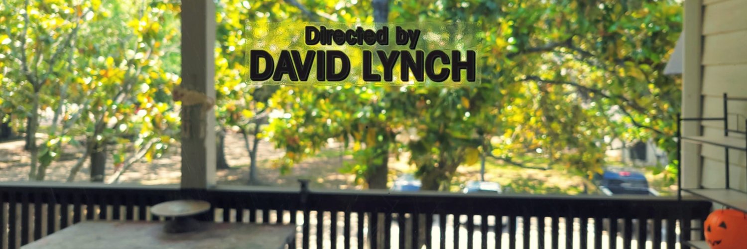 Erin Lono 📚🐈‍⬛ banner