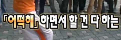 태리 banner