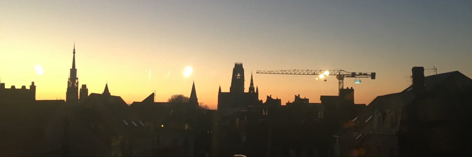 Anne Koechlin banner