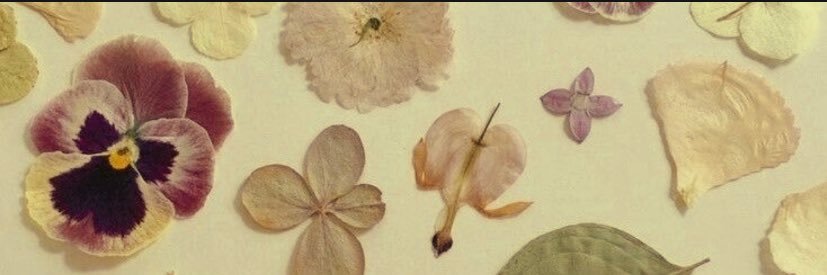 Cammiepooh🌟💋 banner