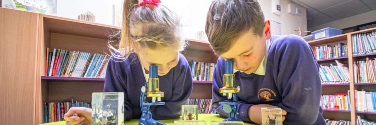 primaryStMarys's profile banner image