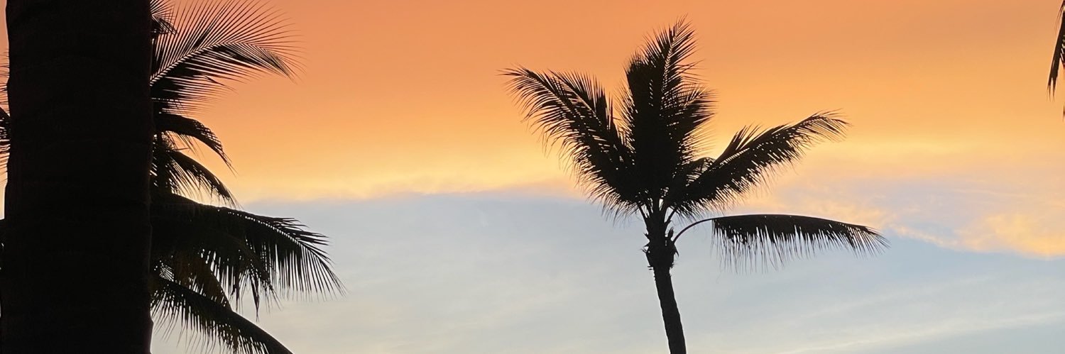 janethromo_'s profile banner image