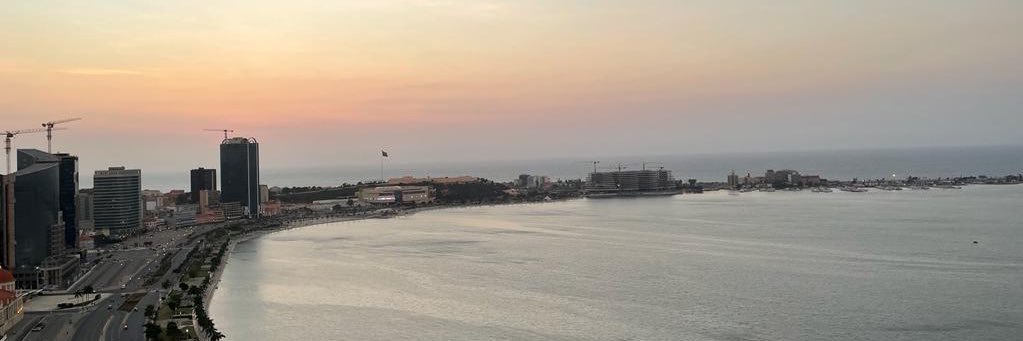 Manuela Carneiro banner