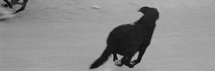 𝔪𝔦𝔠қ banner