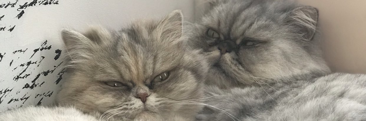 emnbdk13's profile banner image