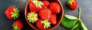 estoy harta's banner