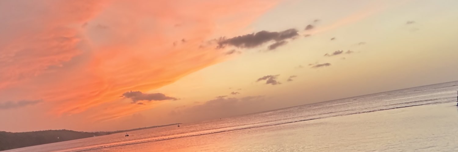 Jaron Vierra's banner