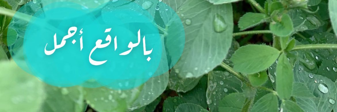 أُخْت فَهَد 🩵 banner