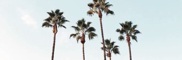 zvchtyler's profile banner image