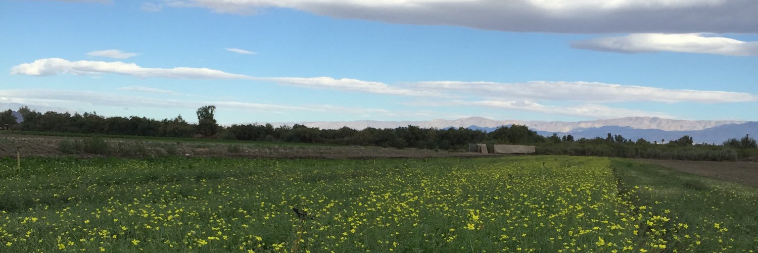 chefroyelam's profile banner image