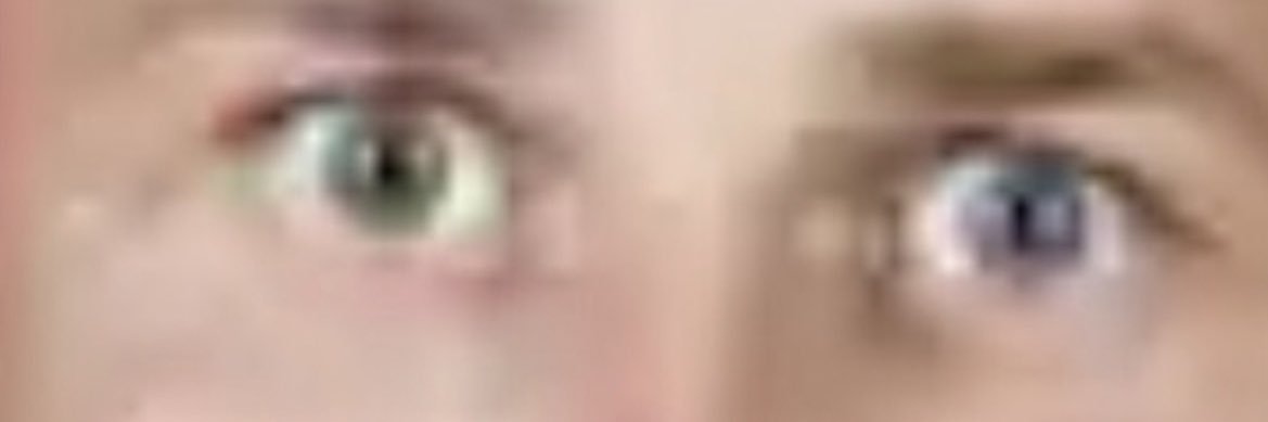 Shauny Shaunsonite banner