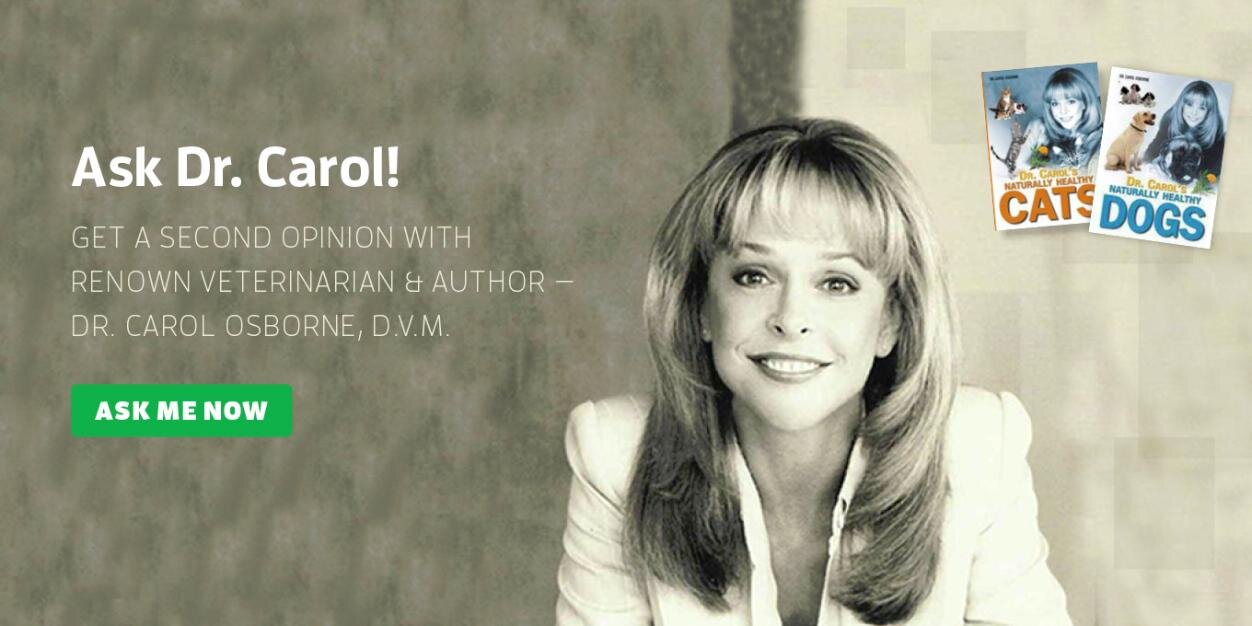 carolonpets's profile banner image