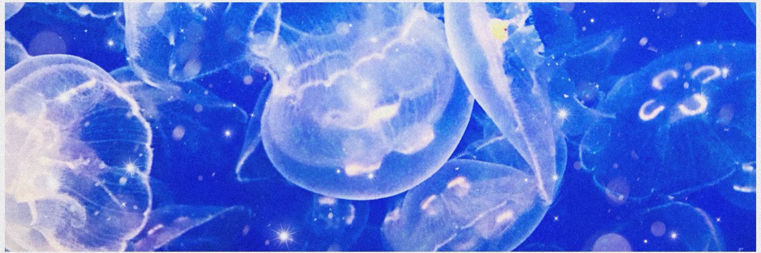 NOR_0930's profile banner image