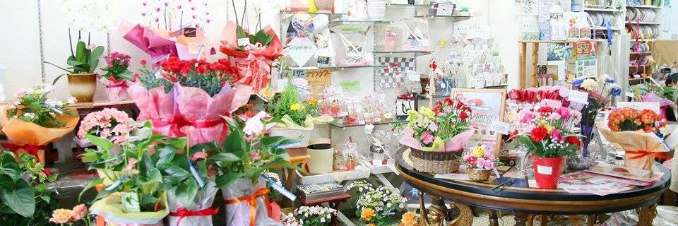 fio878163's profile banner image