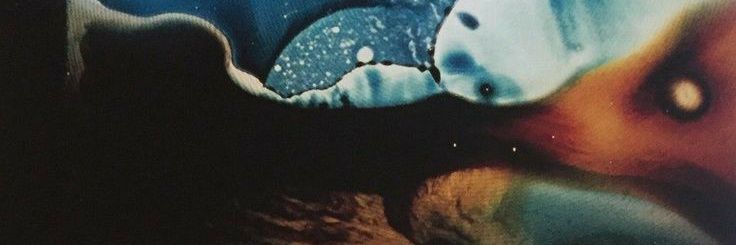 pifipefsu's profile banner image