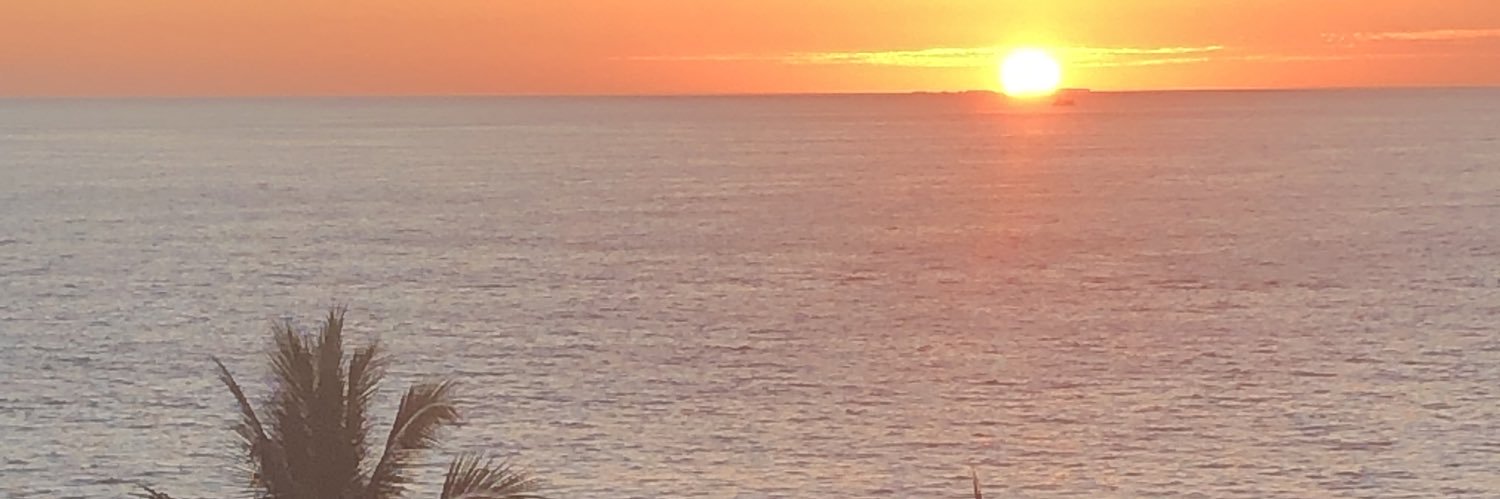 Cathy Roberts banner