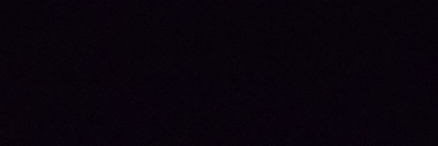 lari__jpm's profile banner image