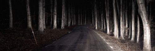 ★aiden★🔜TFF banner