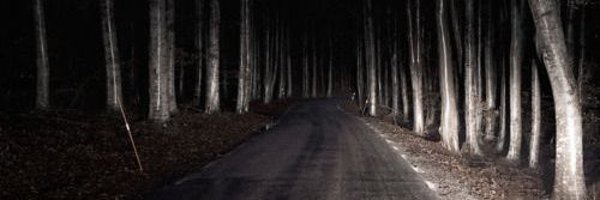 drainddog Profile Banner
