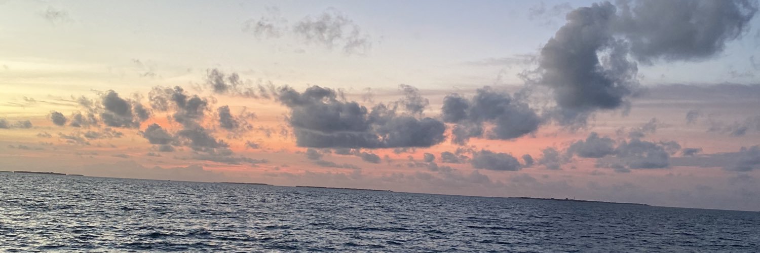 holasuha's profile banner image