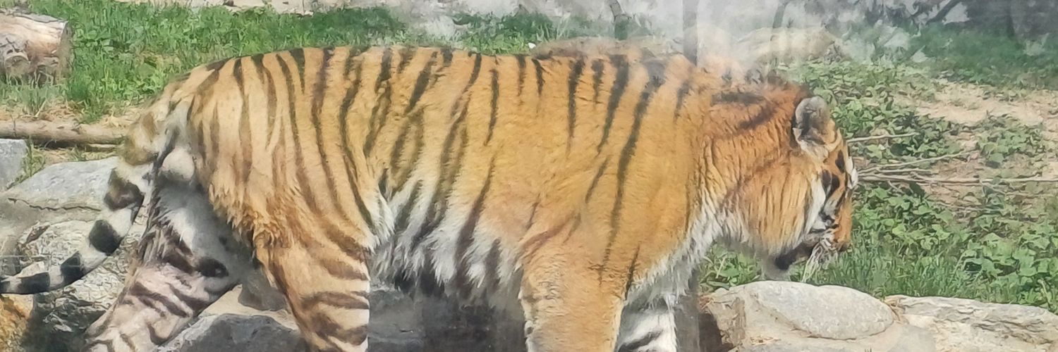 레이저レイザー🐦‍🔥 상시커미션 받는중.. 5일페 출격예정? banner