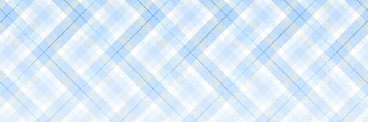₍^. .^₎⟆ banner