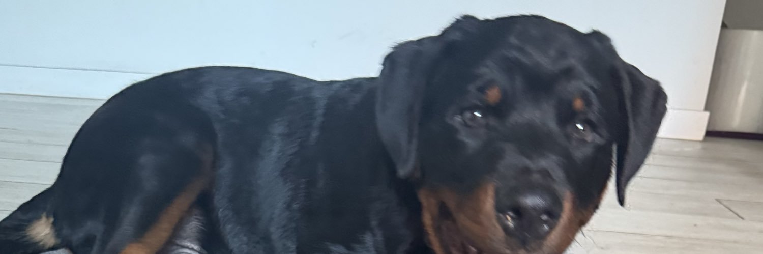 harrield's profile banner image