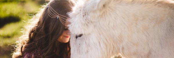 BlueRosePhotos Profile Banner