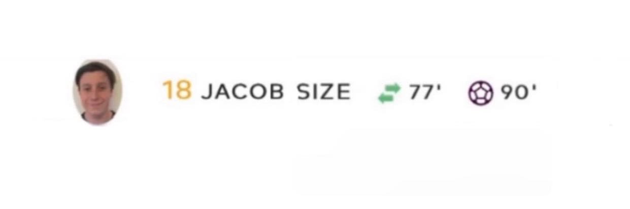 Jacob's banner