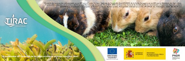 go_tirac Profile Banner