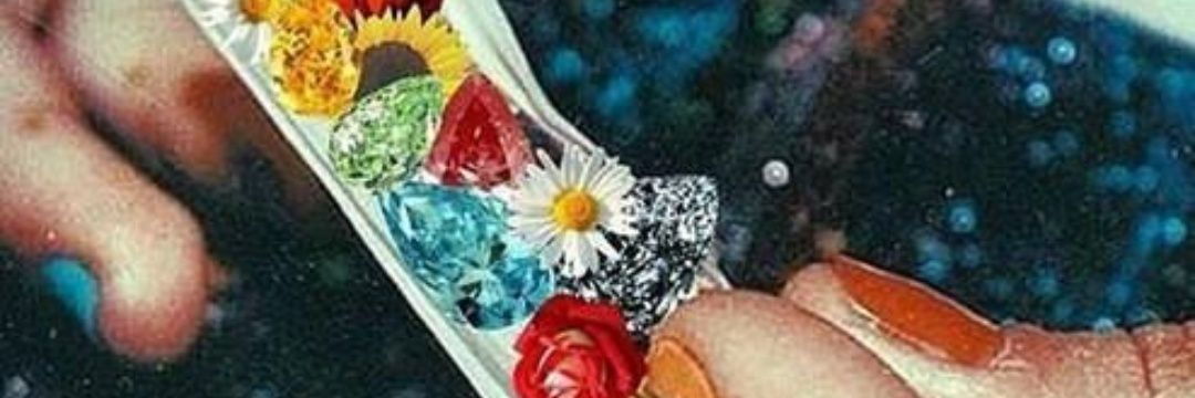 SaraAldrete's profile banner image