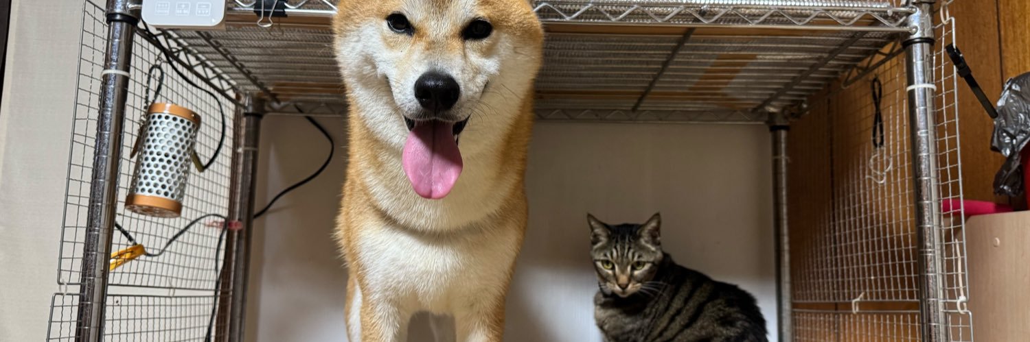 ちいだ banner