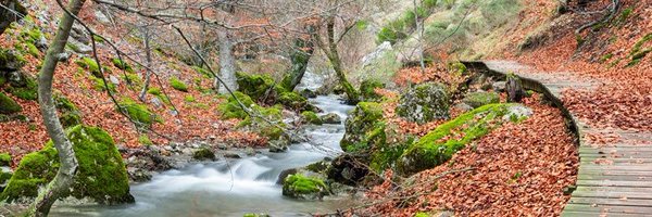 santi14borrego Profile Banner