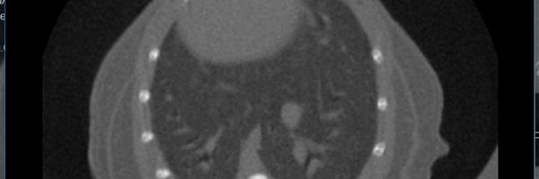 NPICImaging Profile Banner