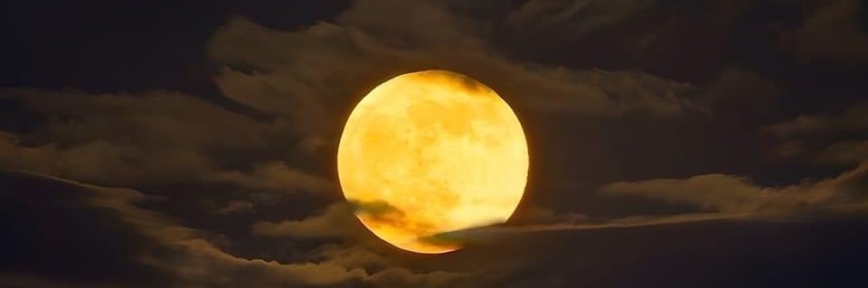 𝑭𝑨𝑻𝑴𝑨 🌝 banner