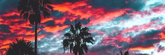 contyne's profile banner image